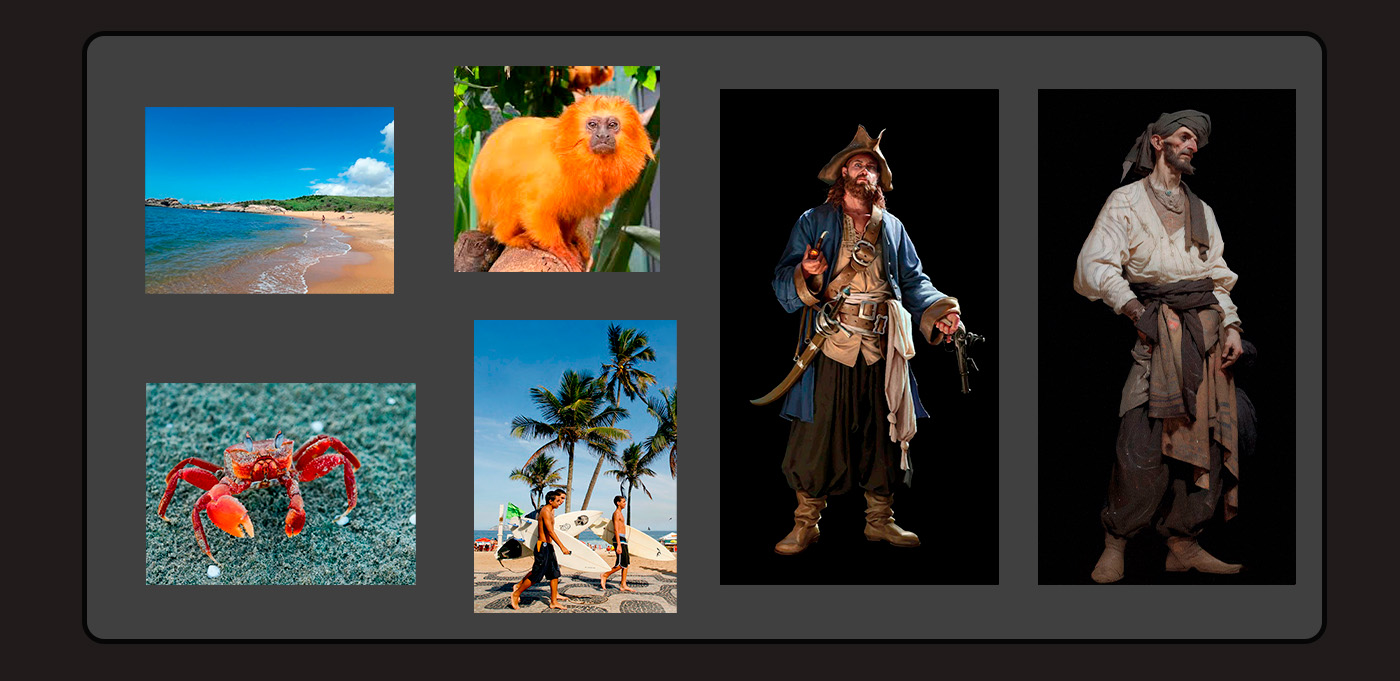 portfolio brazillian pirate